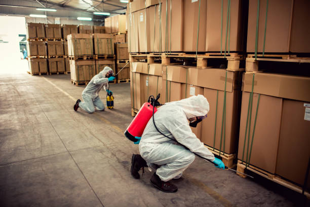 Best Flea Control Services  in Craig, CO