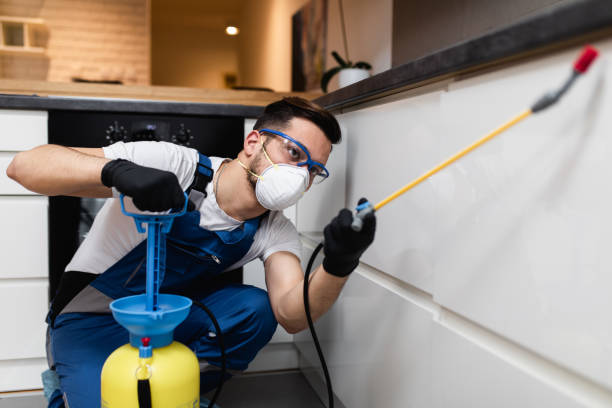 Best Pest Prevention Services  in Craig, CO