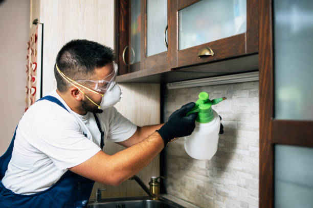 Best Commercial Pest Control Services  in Craig, CO