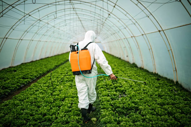 Reliable Craig, CO Pest Control Solutions